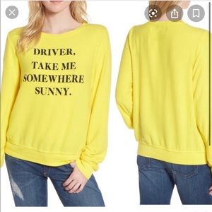 Wildfox Baggy Beach Jumper Size Small